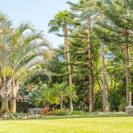 The Grand Oasis Estepona 马尔韦利亚 外观 照片